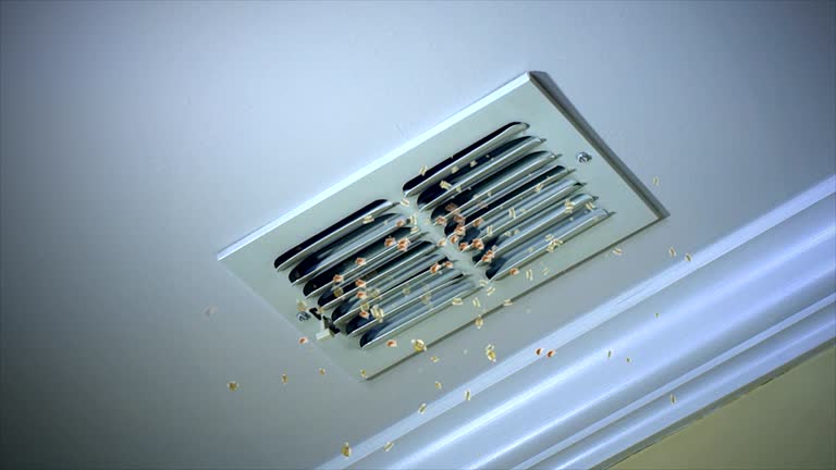 Best Duct Cleaning Specialists  in Robstown, TX